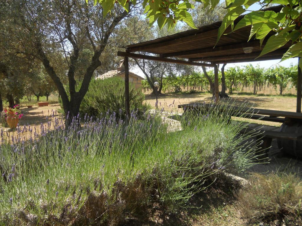 Agriturismo Tenuta Roccaccia Pitigliano Luaran gambar